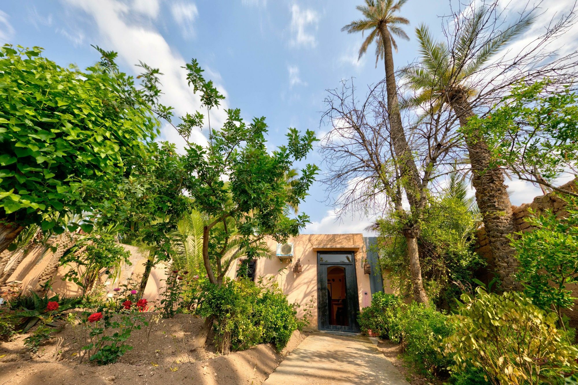 All Green House Marrakesh Exterior photo